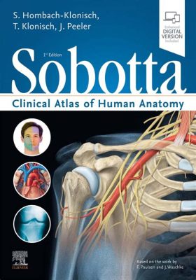  Clinical Atlas of Human Anatomy - A Symphony of Bones, Muscles and Arteries Unveiled!