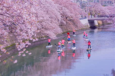 横浜市南区 天気 そして、なぜカラスは傘を差さないのか？